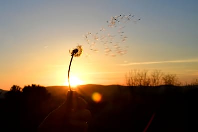 Hypnotherapy for smoking cessation habits.